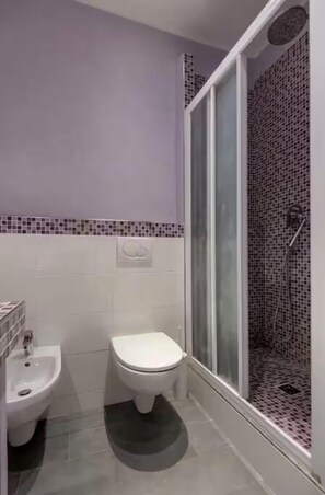 Regadera, secadora de cabello, bidet, toallas 