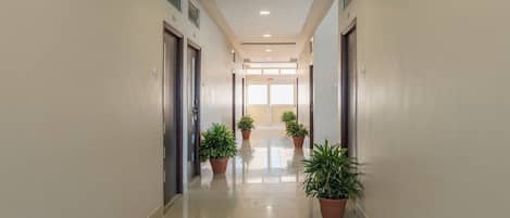 A clean, well-lit hallway with potted plants, doors, and a bright exit at the end.