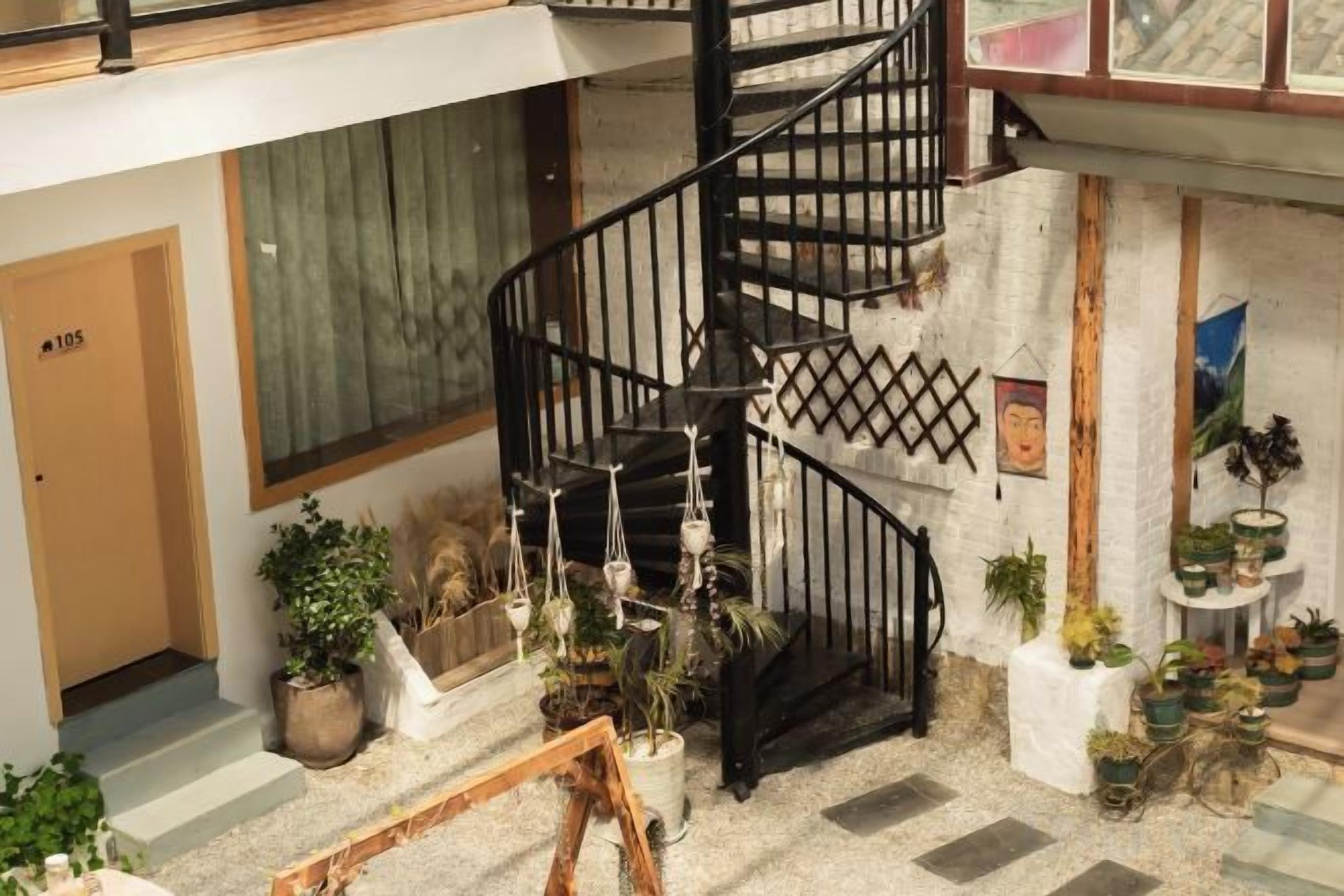 A spiral staircase with a black railing, surrounded by potted plants and a wooden frame structure.
