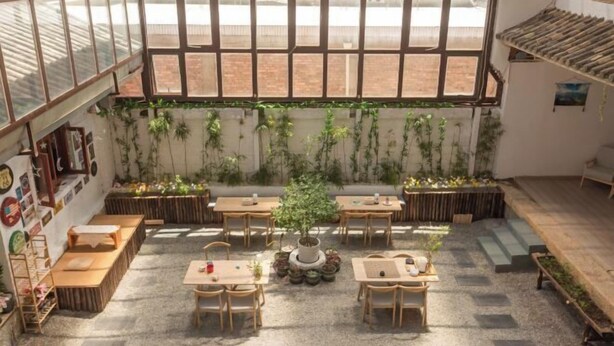 Un espacio interior amplio con ventanas grandes, mesas de madera y plantas en macetas.