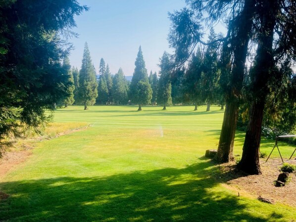 Een golfbaan met een duidelijke route, omringd door hoge bomen en een verzorgd gazon.
