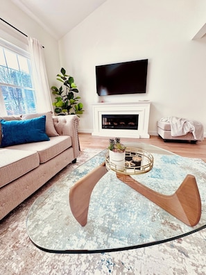 Smart TV, fireplace, books