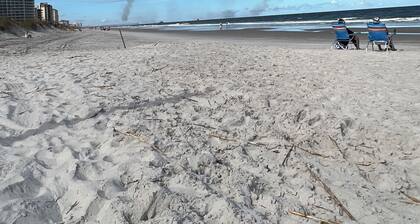 1 Block from Beautiful Jax Beach. Pet friendly townhouse. 2 min.walk to Beach.