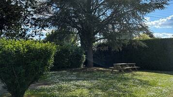 Ein großer Baum auf einer Wiese mit einem Picknicktisch in der Nähe.