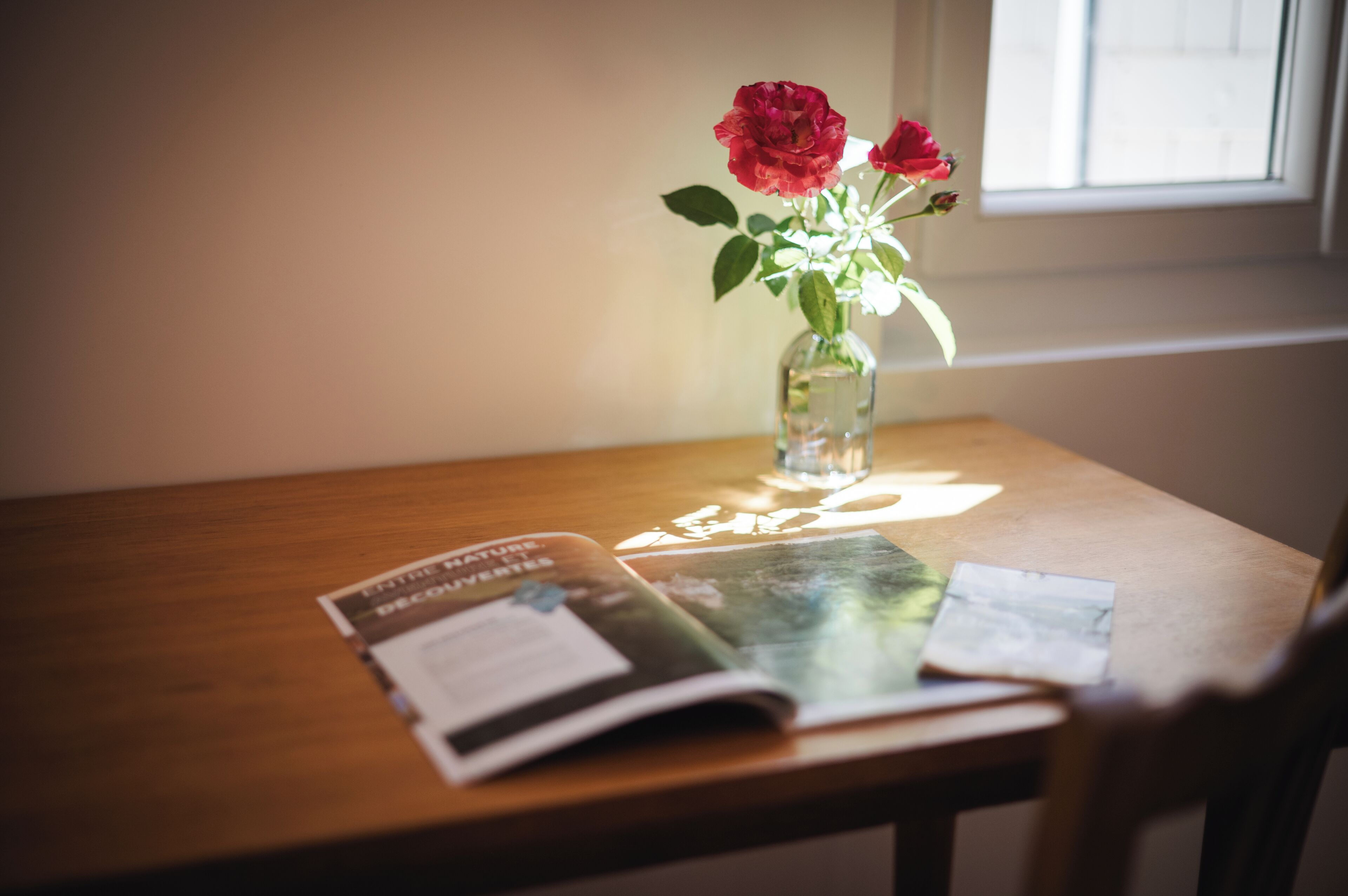 Ein Holztisch mit einem Buch und einer klaren Glasvase mit roten Blumen.