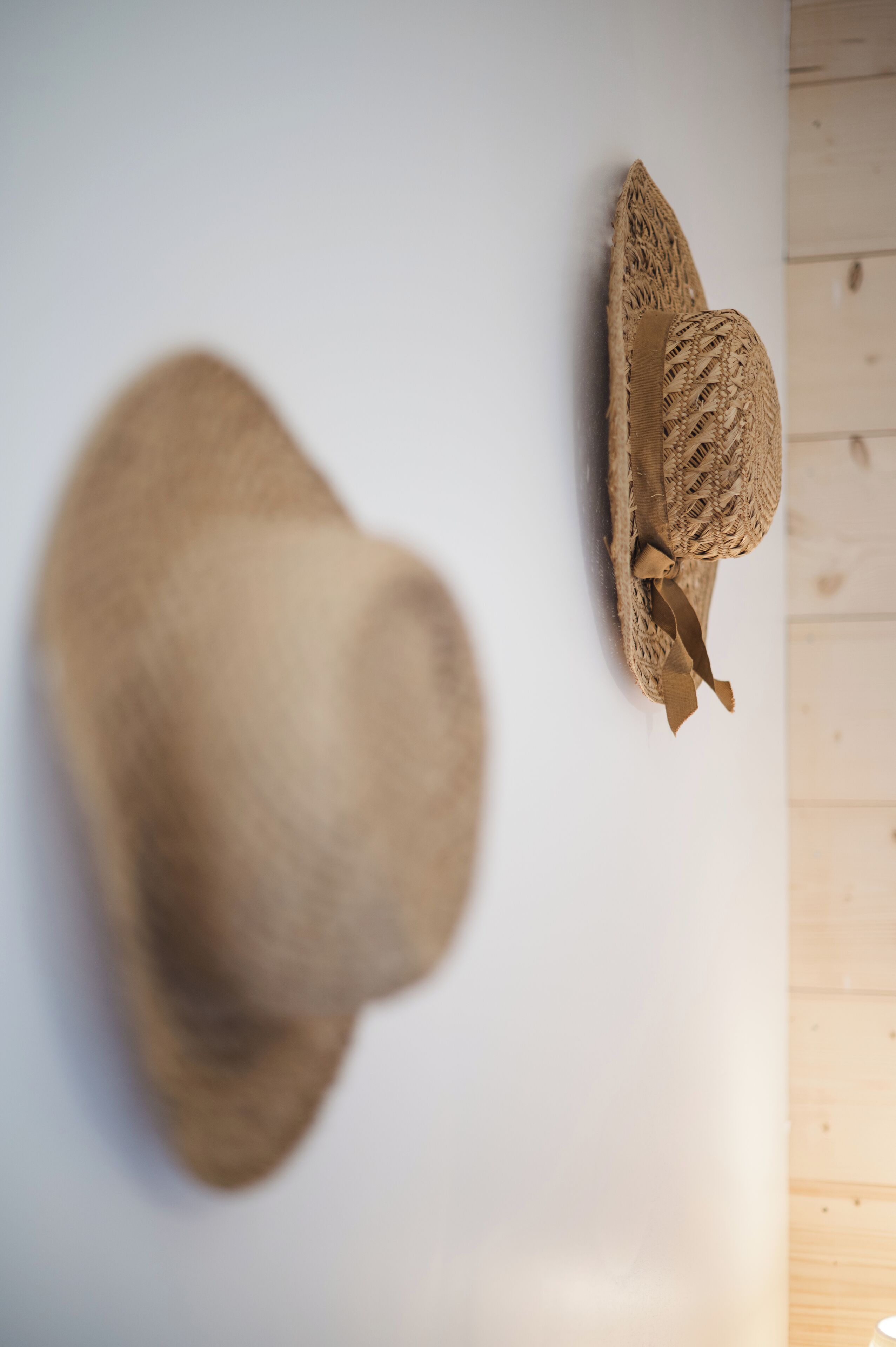 Deux chapeaux sur une surface blanche.