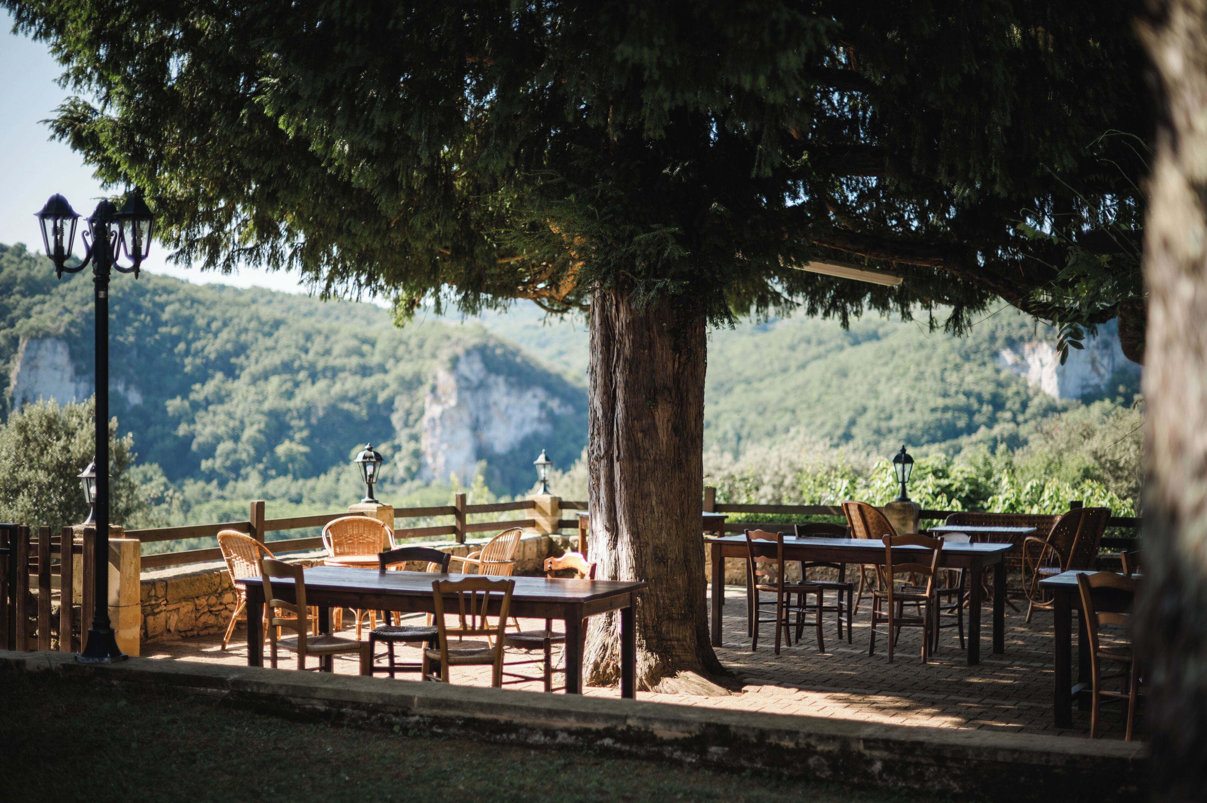 Un área de comedor al aire libre con mesas y sillas bajo un gran árbol, con vista a un paisaje montañoso.