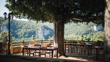 Un área de comedor al aire libre con mesas y sillas bajo un gran árbol, con vista a un paisaje montañoso.