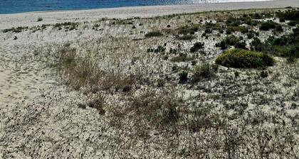 In Troia, 2-room apartment, just a 3-minute walk from the beach