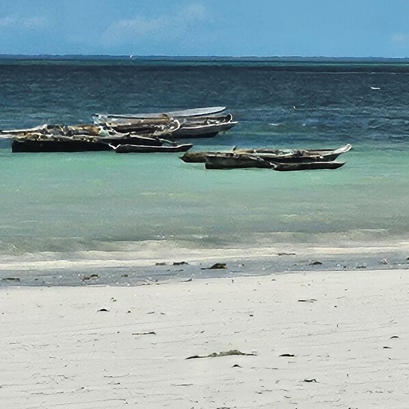 On the beach