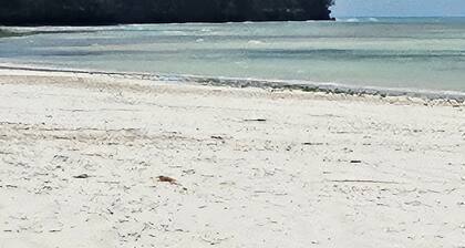 Beachfront 2BR in Uroa | Ocean View | AC | FREE Airport Transfer