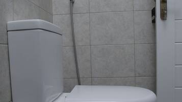 Shower, bidet, towels, soap