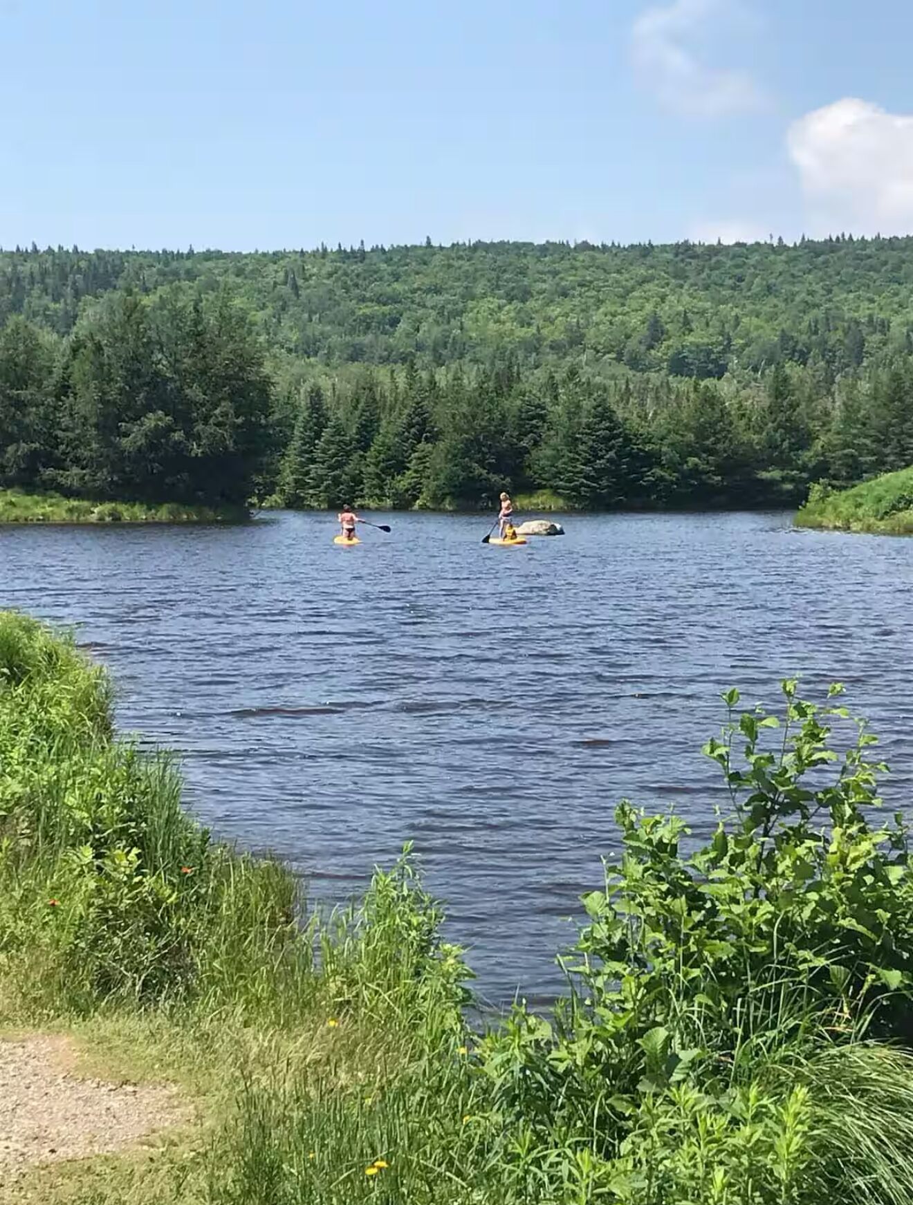 Ein ruhiger See mit zwei Stand-Up-Paddles, umgeben von dichtem Wald und blauem Himmel.