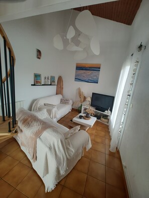 TV, fireplace, DVD player, books - Villa Landaise with its large swimming pool (Biscarrosse)