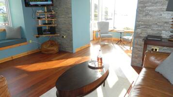 TV, video games, DVD player, books