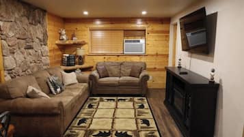 Smart TV, fireplace, books, computer monitors