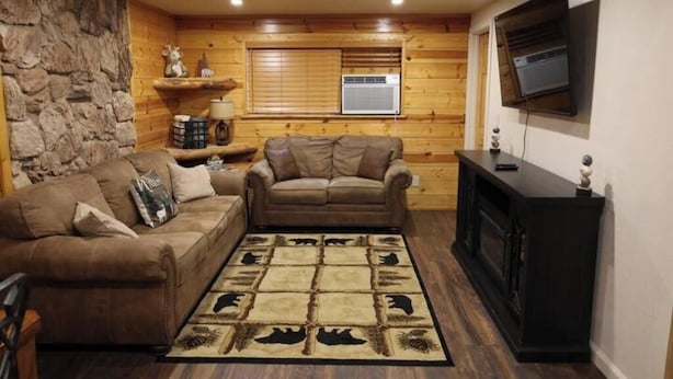 Smart TV, fireplace, books, computer monitors