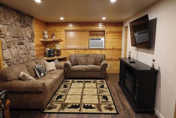 智能电视、壁炉、书、电脑显示器