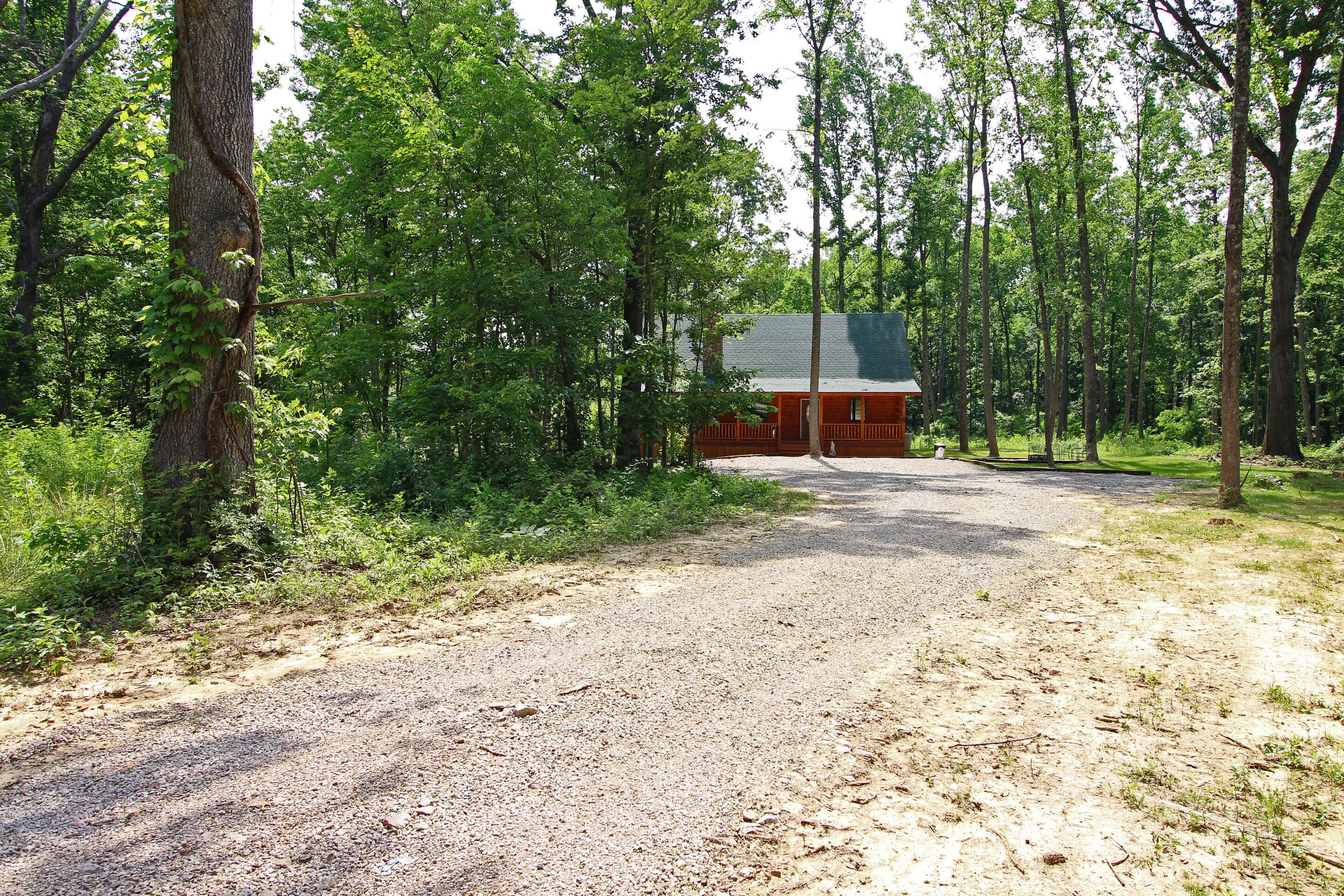 A gravel path leading to a cabin surrounded by dense forest.