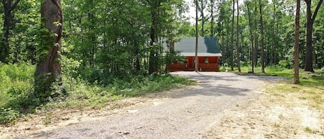Un sendero de grava conduce a una cabaña rodeada de un bosque denso.