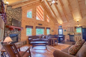 テレビ、暖炉、DVD プレーヤー