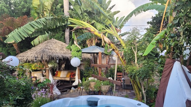 Un jacuzzi rodeado de exuberante vegetación y una estructura con techo de paja.