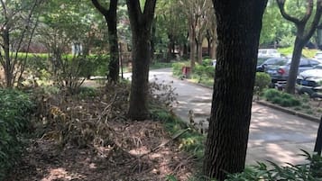 Jardines del alojamiento