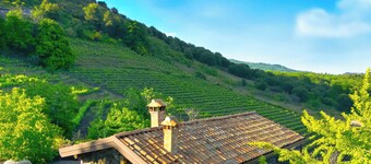 Mondifeso Chalet (Etna+vineyard+jacuzzi)