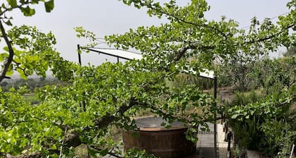 Mondifeso Chalet (Etna+vineyard+jacuzzi)