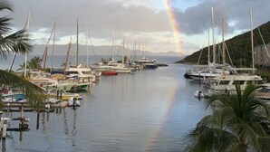 A marina with boats docked, palm trees, and a rainbow in the sky.