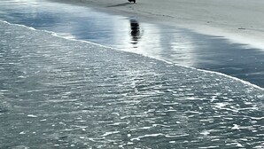Una persona caminando sobre una playa bajo un cielo nublado.