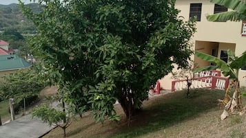 Shared Dormitory, 1 Bedroom, Balcony, Garden View | Garden