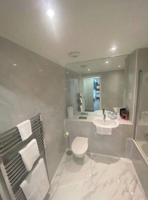 Shower, towels, toilet paper