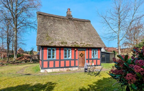 Nice home in Ry with WiFi