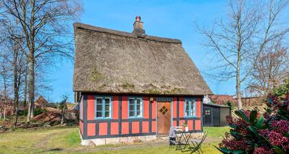 Nice home in Ry with WiFi