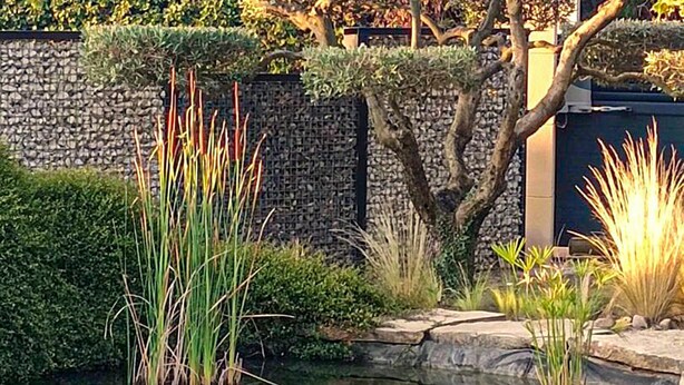 A garden with a pond, stone wall, and various plants. - Luxurious home in Sarrians (Sarrians)