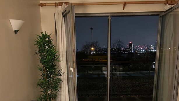 A modern living room with a grey sofa, a small table, and a potted plant. - Flat in Greenwich Near O2 and London City Airport (London)