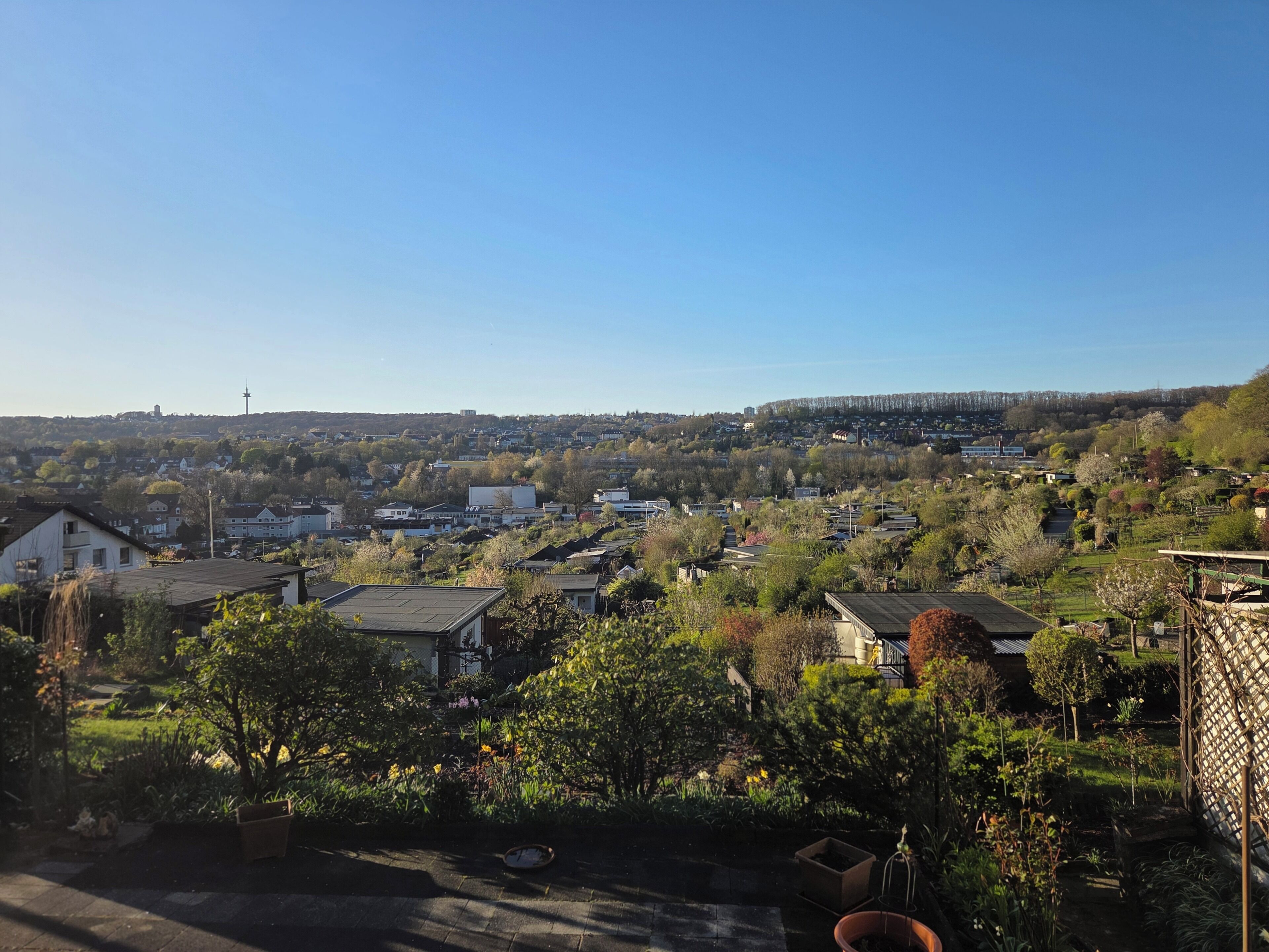 A residential area with houses, trees, and a clear sky.