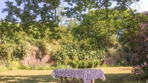 A table set outdoors with a floral tablecloth, surrounded by lush greenery and a stone wall.