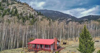Secluded Forest Cabin on 3 Acres Near Eleven Mile Reservoir/Fishing