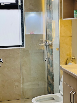 Shower, towels, toilet paper