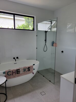 Shower, hair dryer, towels, soap