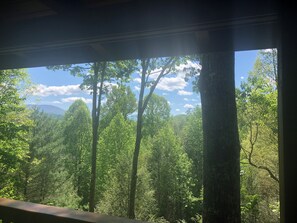 Interior - Smoky Mountain High 3-bedroom/3 bath, hot tub, game room, 10-min from downtown (Gatlinburg)