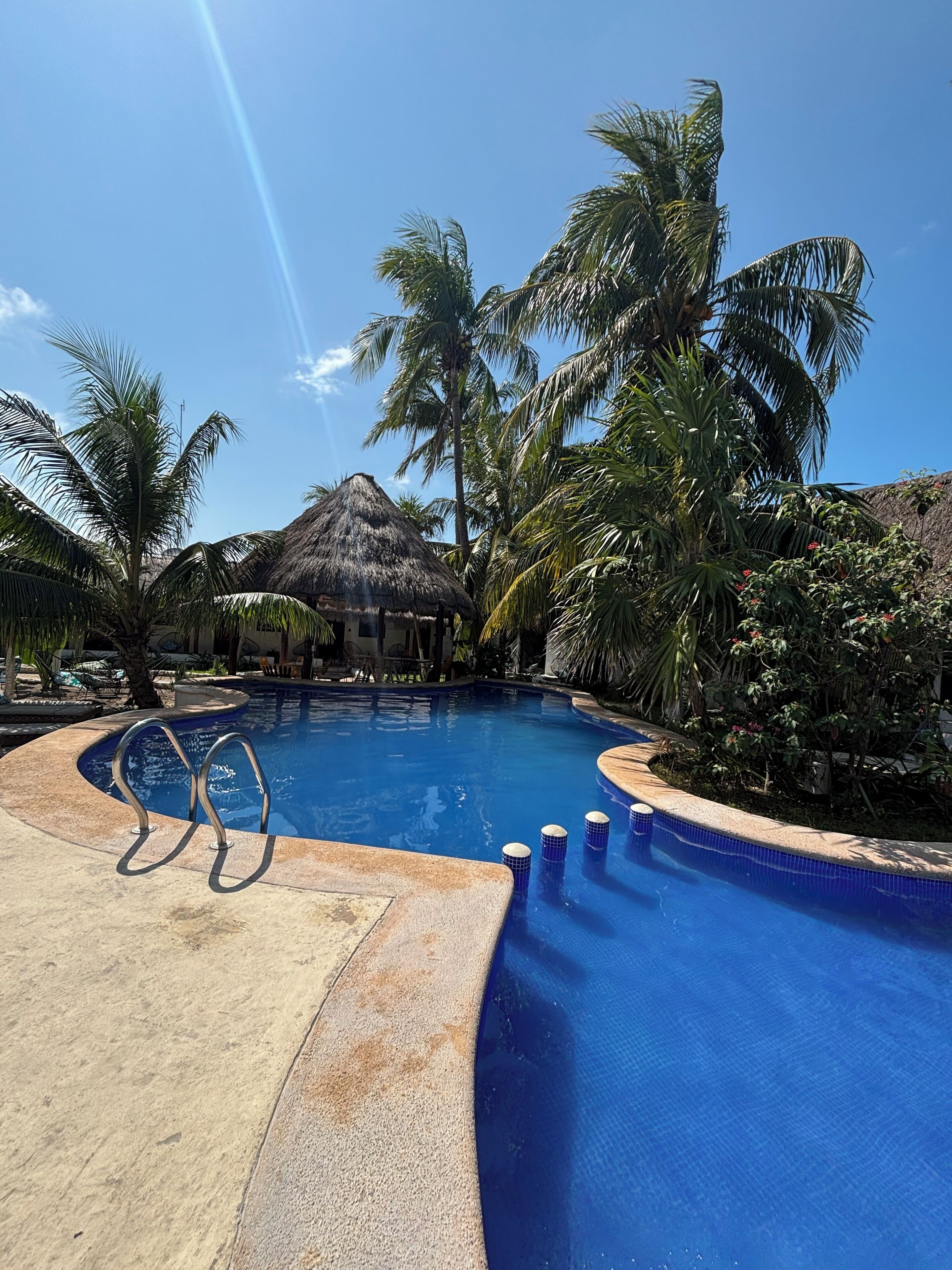 A swimming pool with a thatched-roof structure in the background, surrounded by palm trees.