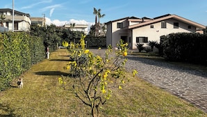 A residential area with modern houses, a paved pathway, and a small tree with yellow leaves. - Room to dream (San Valentino Torio)