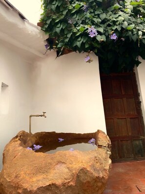 Property grounds - XVII Century Home with Contemporary Renovations! (Barichara)