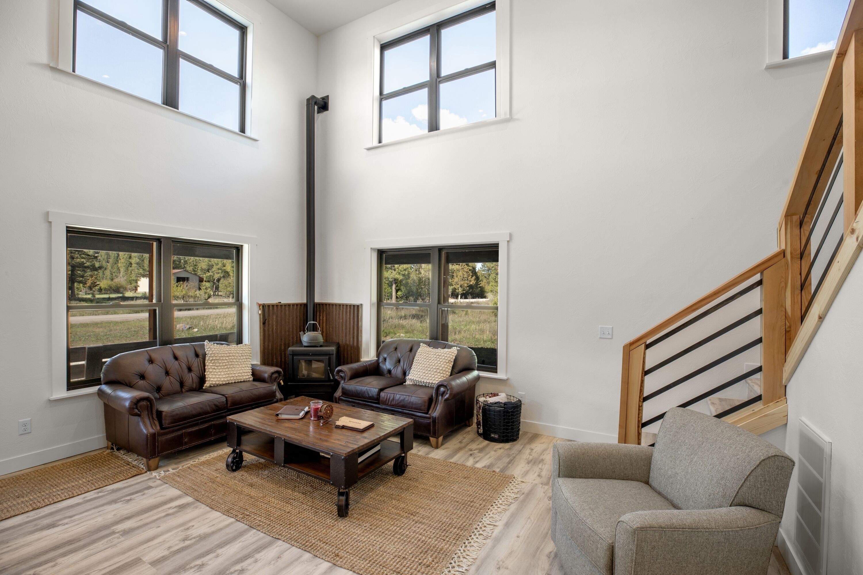 Smart TV, chimenea, reproductor de DVD y videoteca 