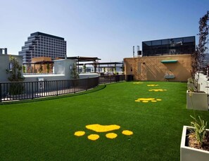 Un jardin sur le toit, doté d’une pelouse artificielle et de motifs représentant des empreintes de pattes, entouré de bâtiments modernes.