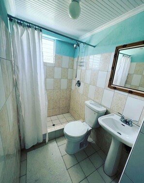 Secadora de cabello, toallas, jabón, papel de baño 
