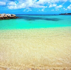 Beach - 2 bedroom ground level near sandy beach, bars, food, shopping, transit (Douglas)